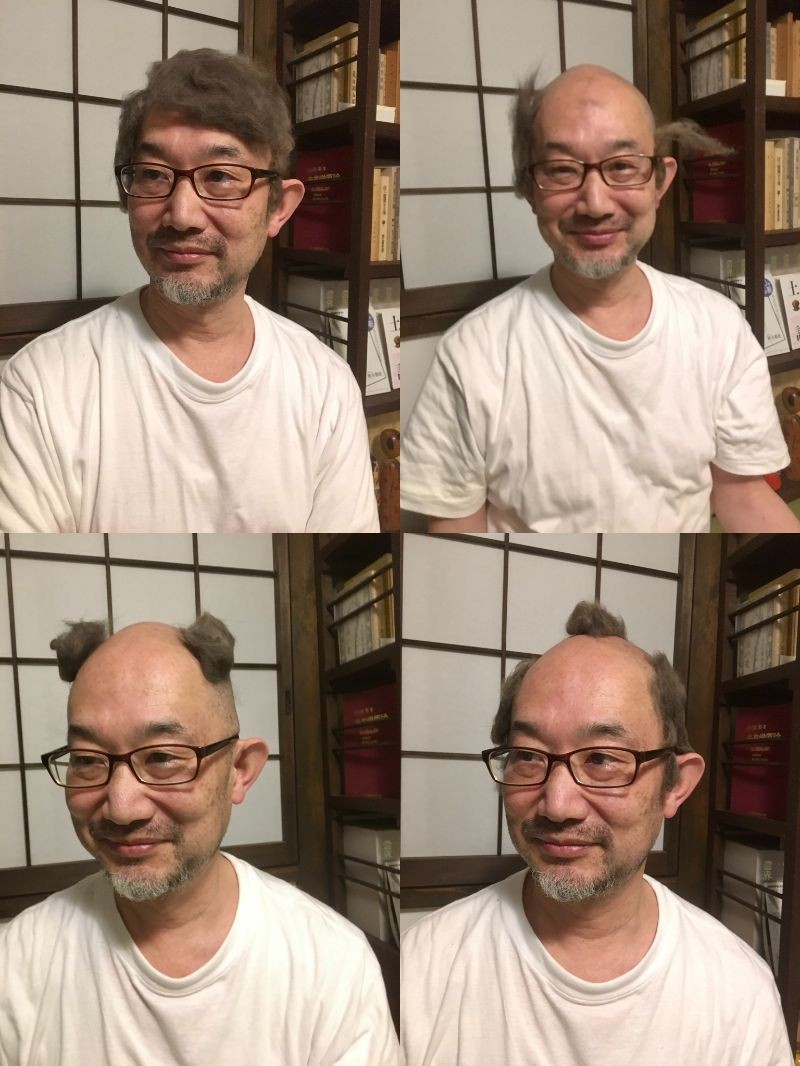 猫の毛も借りたい」飼い猫の抜け毛で作ったu201cヅラu201dが話題 「とても