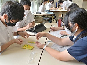 写真・図版