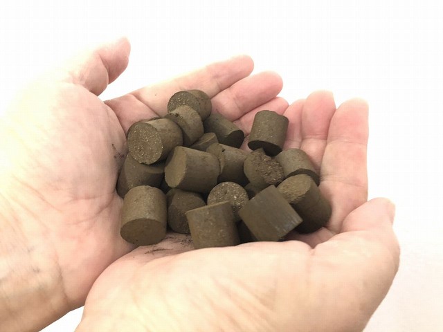 使用済の 使い捨てカイロ で水をきれいに 環境のため再利用 夢は大阪万博 夢洲の海を浄化したい まいどなニュース 使用済の 使い捨てカイロ で水をきれいに 環境のため再利用 夢は大阪万博 夢洲の海を浄化したい まいどなニュース