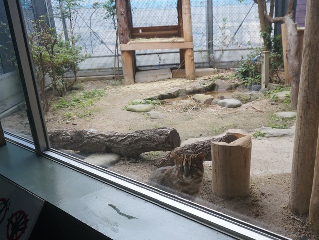 あ、こんなに近くまで来てくれましたよ！