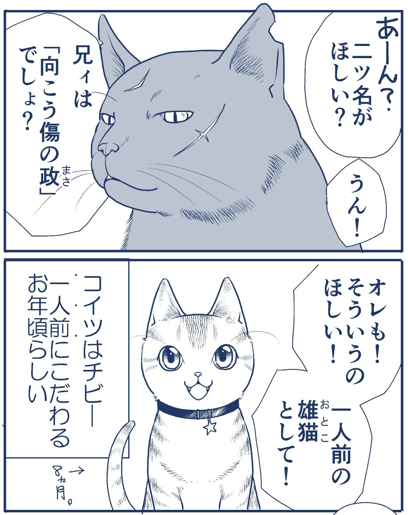 まいどな漫画大賞21 大賞決定 リモートに割り込んでくる猫あるある 絵本のようなタッチで描く まいどなニュース