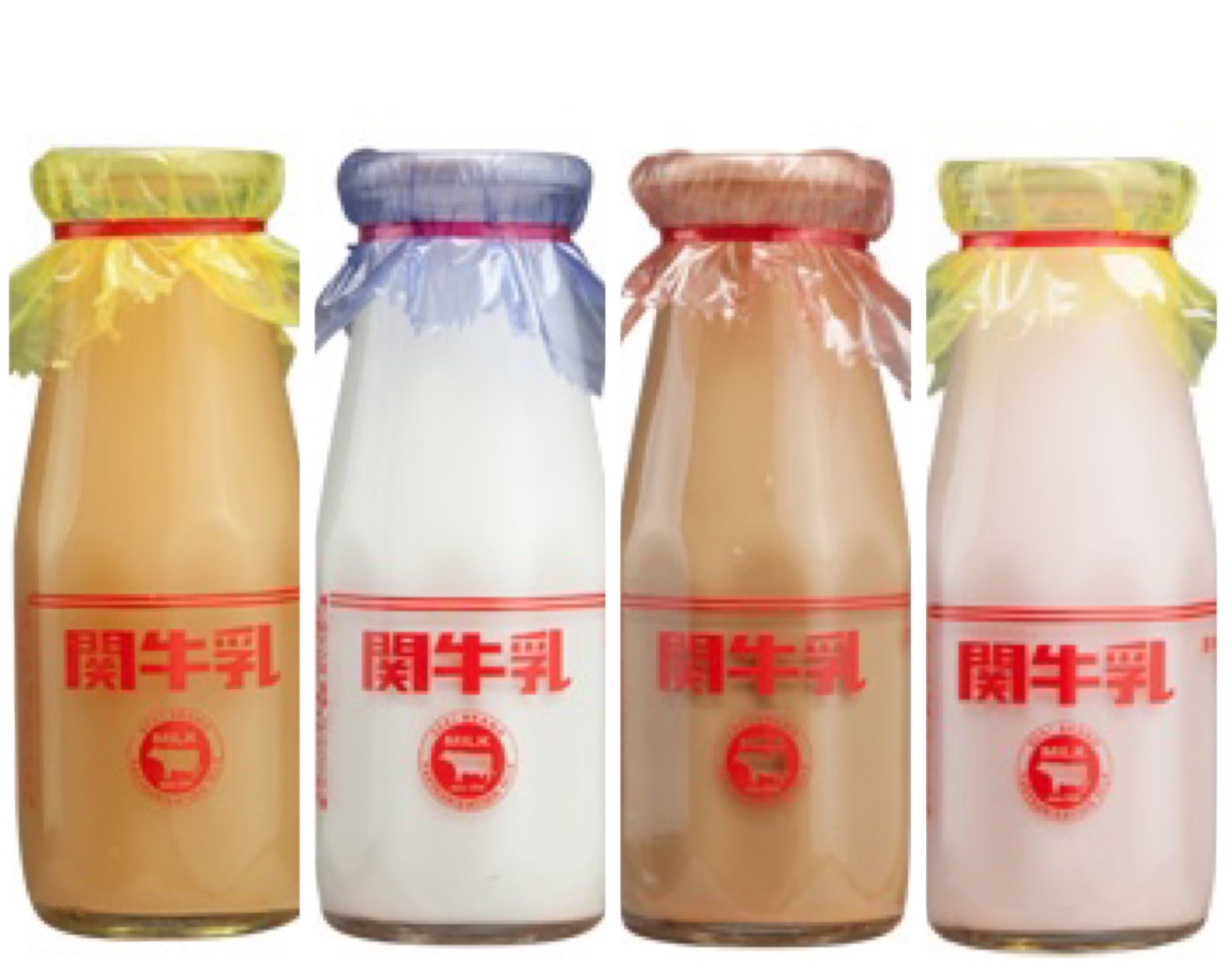 全小学生が苦闘した 赤い 紐 付きビン牛乳作り続けるメーカー 方や 牛乳ラーメン も 古さと新しさに込めた思い まいどなニュース