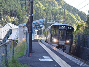 写真・図版