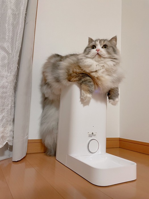 まだ出ないかしら？（提供：ねむろぐさん）