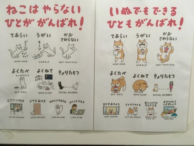 猫と犬の注意喚起ポスターが話題 漫画 いとしのムーコ みずしな先生に聞く ポスターに込めた思い とは まいどなニュース