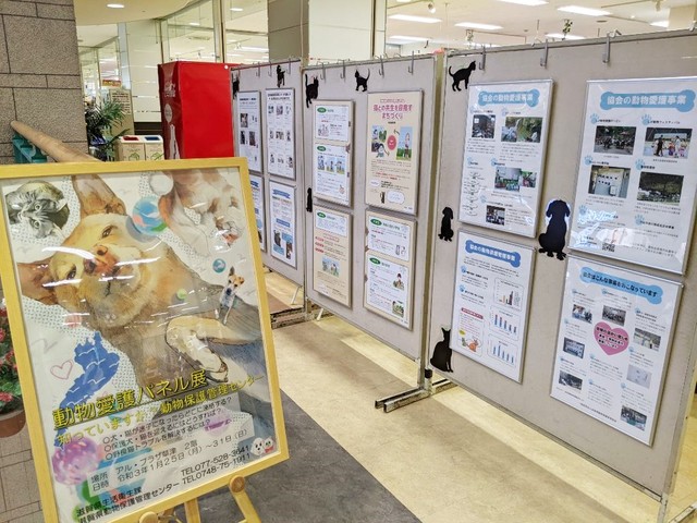 飼えなくなった ペットの保健所への持ち込み 後を絶たず 動物保護管理センターの職員に 殺処分 の実態を聞いた まいどなニュース