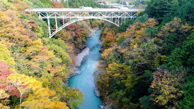 东京多摩川上游 湛蓝川边迟来红叶(视频):朝日新聞中文网