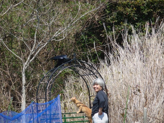 奥さんができた時も 子どもができた時も 亡くなる間際にもあいさつに来て 律儀だったカラスのカンちゃん まいどなニュース