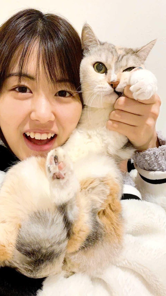 悪性腫瘍に負けない「3本足の天使」 女優・竹内愛紗の愛猫ぴょんちゃん 