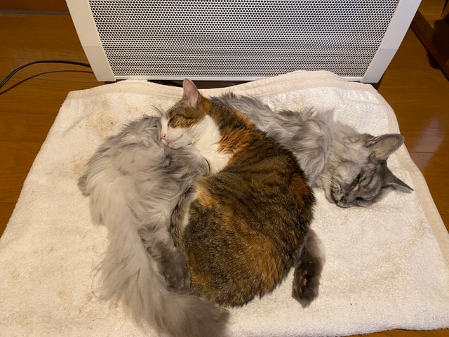 引き取る
