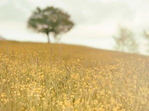 本を作りたい、生活はくるしい　「天職」とお給料の理不尽な関係