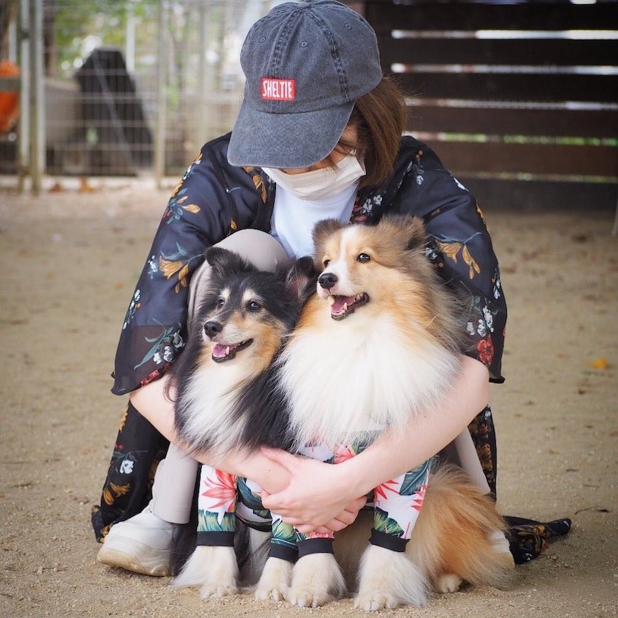 お風呂場に エリンギ 生えた 犬を洗ったら思わぬ姿に驚きの声が殺到 飼い主さんに聞いた まいどなニュース