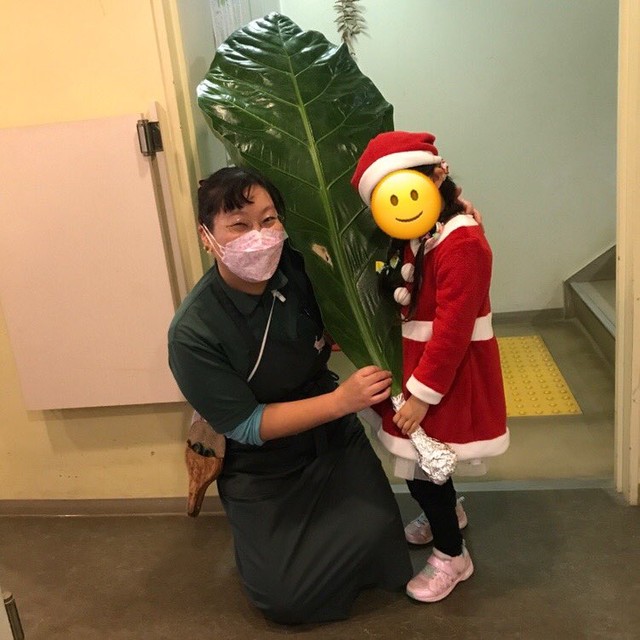 サンタさんに 世界で一番大きい葉っぱ をリクエストした6歳の女の子 年内で閉まる小さな植物園が最後の大仕事 まいどなニュース