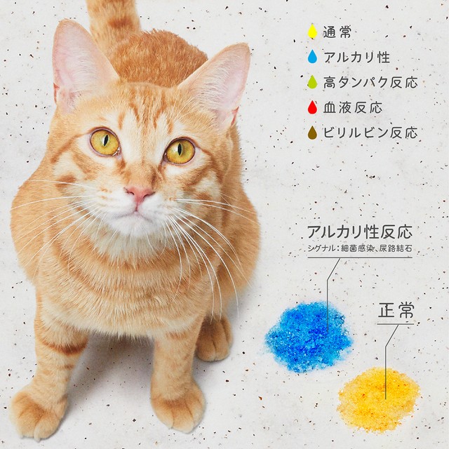 5色に変化する猫砂 色で猫の体調を毎日チェック 私にとっては安心砂 猫が慣れればデメリットがない まいどなニュース