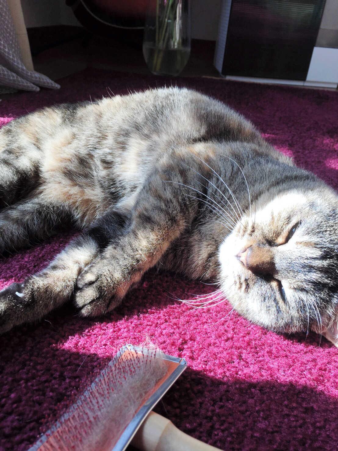 白川 裕二郎 ツイッター