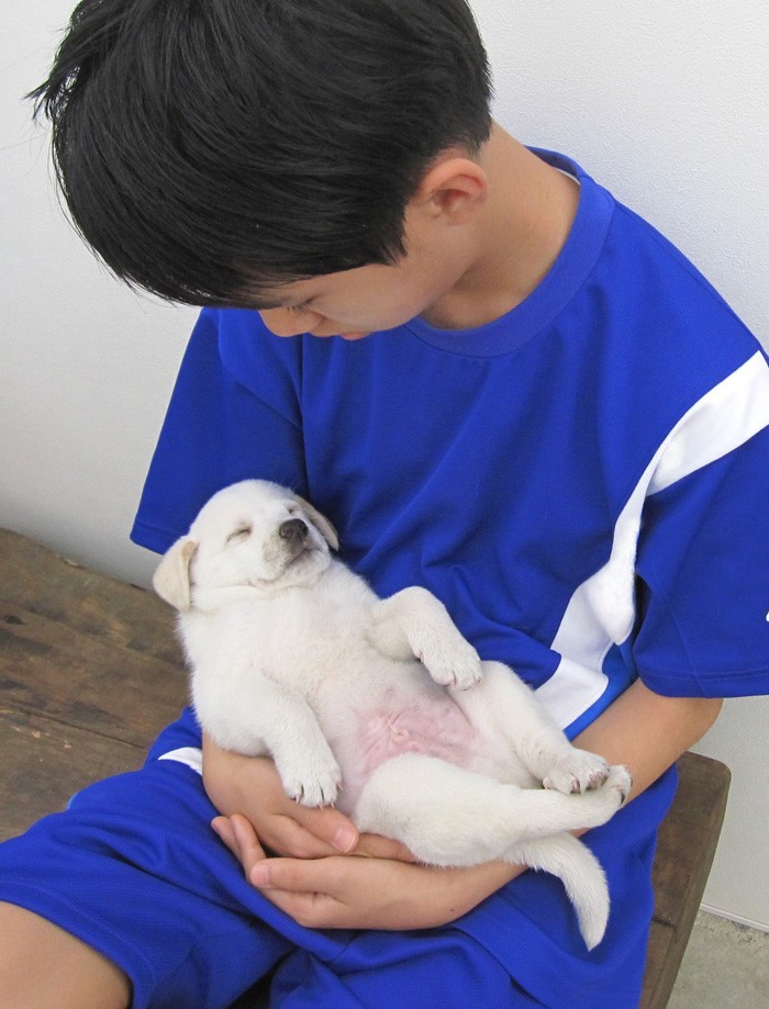 保健所から引き取った子犬を抱く少年 優しい心が伝わる感動の写真 が話題 二人とも大きくなりました まいどなニュース