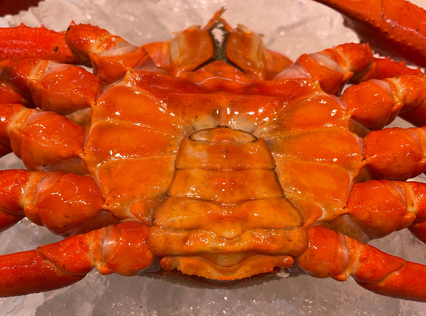 タラバガニ 本ズワイガニ 毛ガニが高騰 それなら紅ズワイガニ 上手な選び方と食べ方を聞いた まいどなニュース