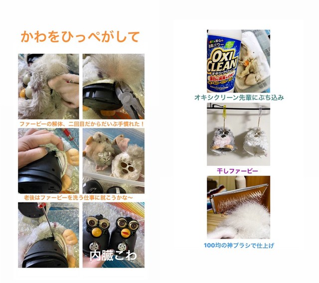 汚れてモケモケの ぬいぐるみ が 驚くほどキレイに 生き返ったファービーから きっと恩返しがある まいどなニュース