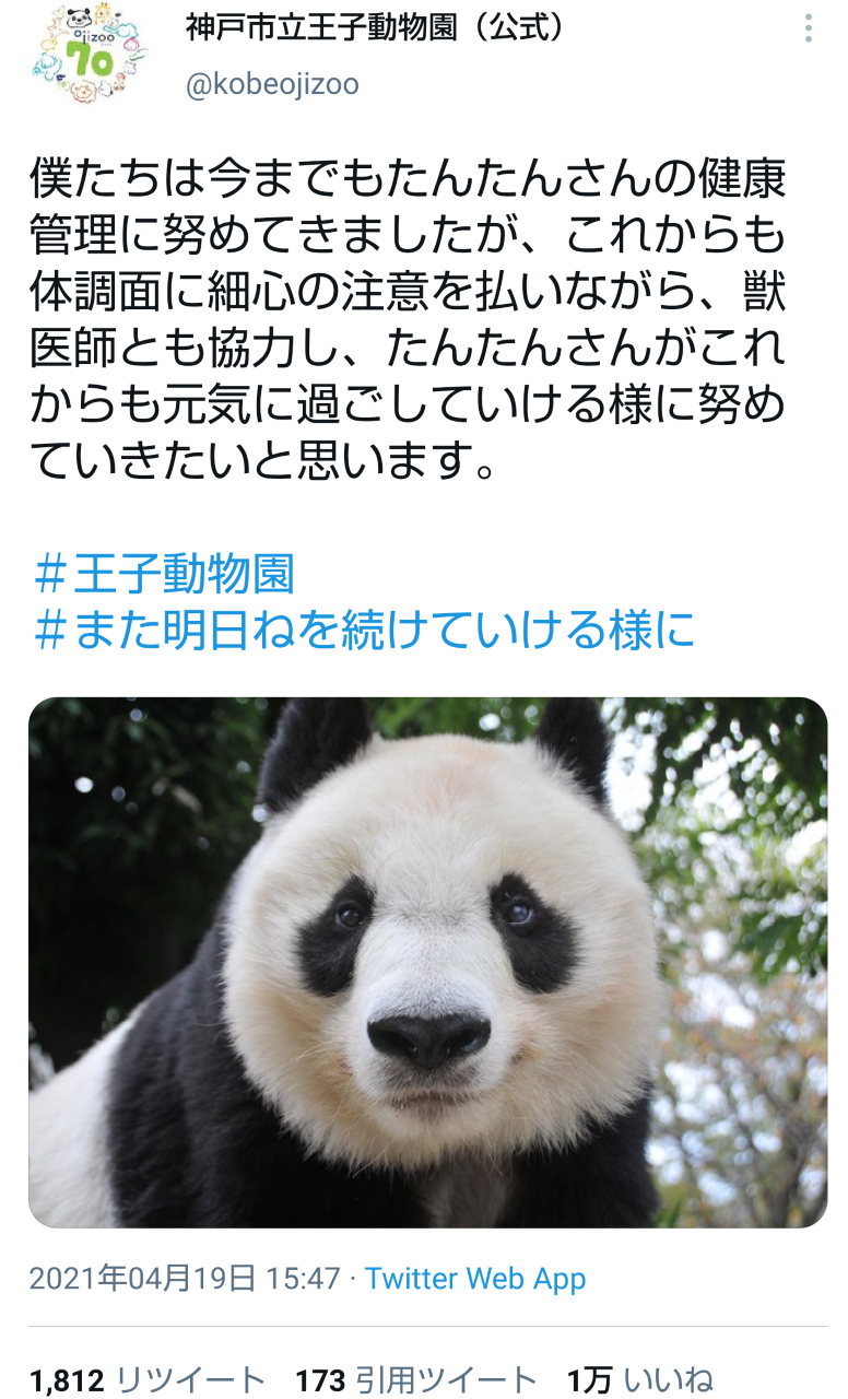 心臓疾患疑いのパンダ タンタンにファンから切実な声 ゆっくり治して できるならこのまま神戸に まいどなニュース