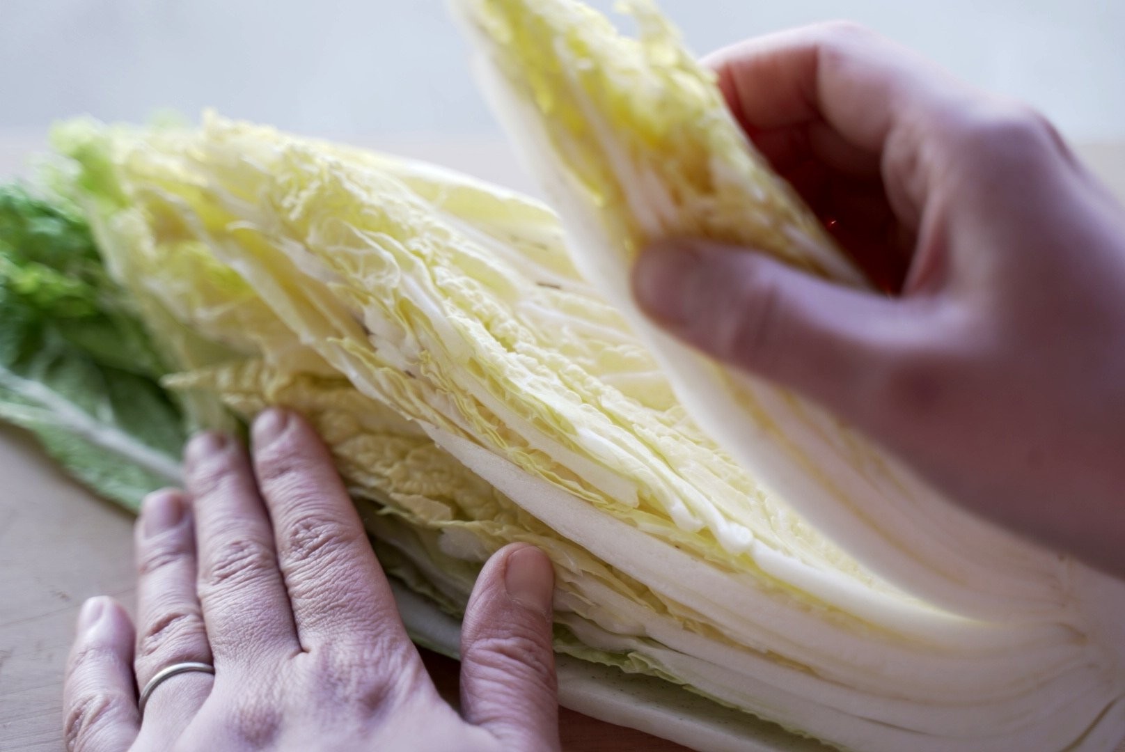 白菜は内側から使ってください 農家さんの切実なお願い 知らなかった と驚きの声 まいどなニュース 白菜は内側から使ってください 農家さんの切実なお願い 知らなかった と驚きの声 まいどなニュース