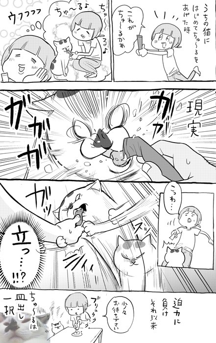 漫画 犬と猫におやつをあげたら 猫はちゅ る皿出し派が多数 なぜ Cmのように穏やかな猫はいません まいどなニュース