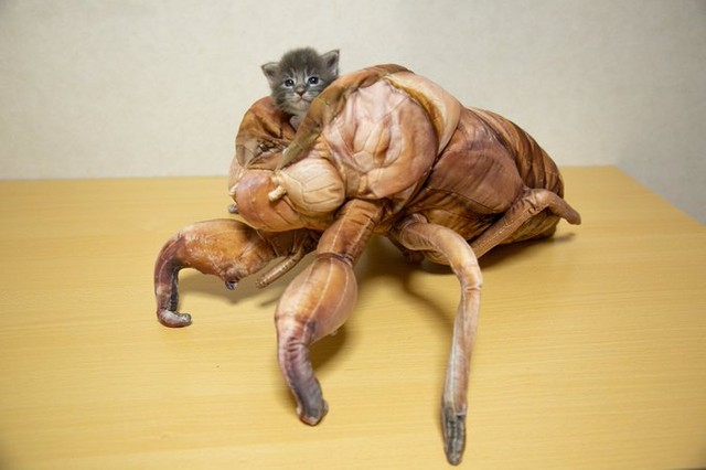 どうだ明るくなったろう 紙幣燃やす戦争成金の風刺画が3d作品に これ欲しい 教科書で見たやつだ まいどなニュース どうだ明るくなったろう 紙幣燃やす戦争成金の風刺画が3d作品に これ欲しい 教科書で見たやつだ まいどなニュース