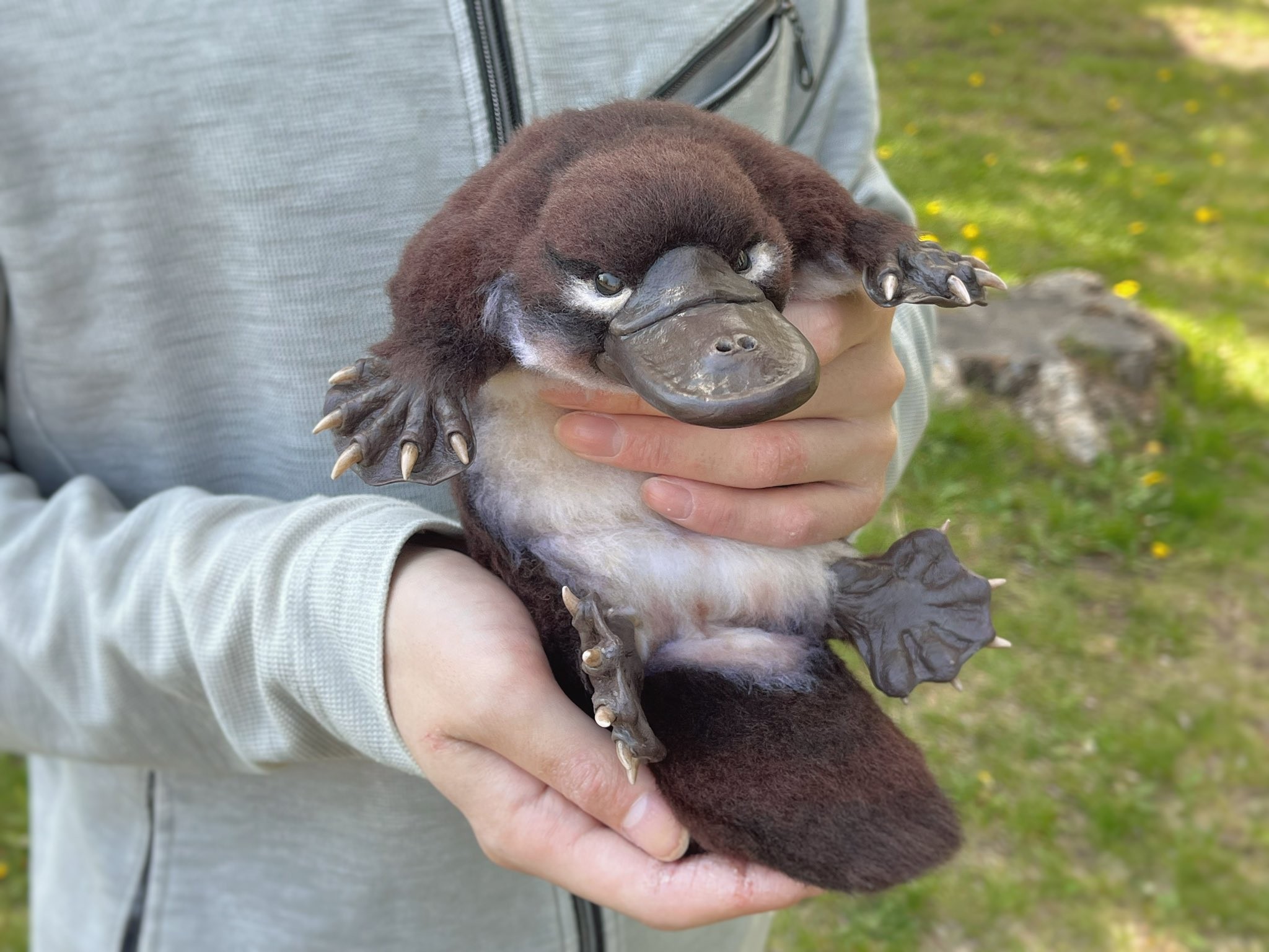 カモノハシを抱っこ リアルすぎる等身大ぬいぐるみに驚き 凄すぎて何度も写真拡大 素手で大丈夫なの まいどなニュース カモノハシを抱っこ リアルすぎる等身大ぬいぐるみに驚き 凄すぎて何度も写真拡大 素手で大丈夫なの まいどなニュース