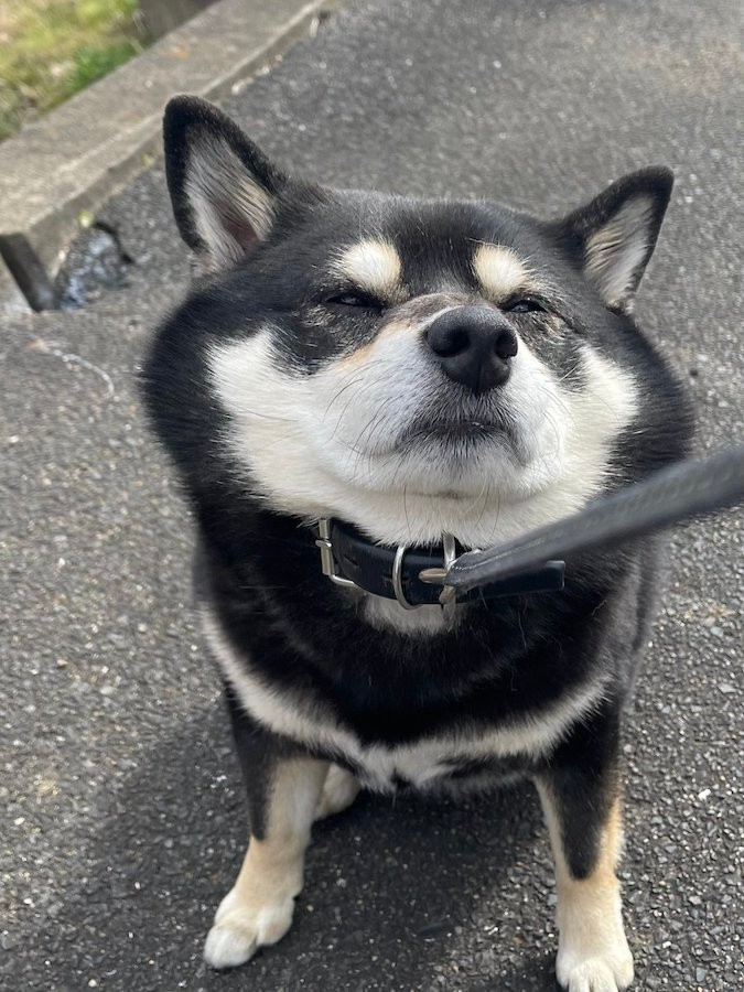 Hmagmmnxei4 Om