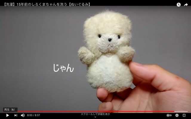 ぬいぐるみを洗う160万回再生動画 こいつたちがいる から頑張れる 画像5 よろず ニュース