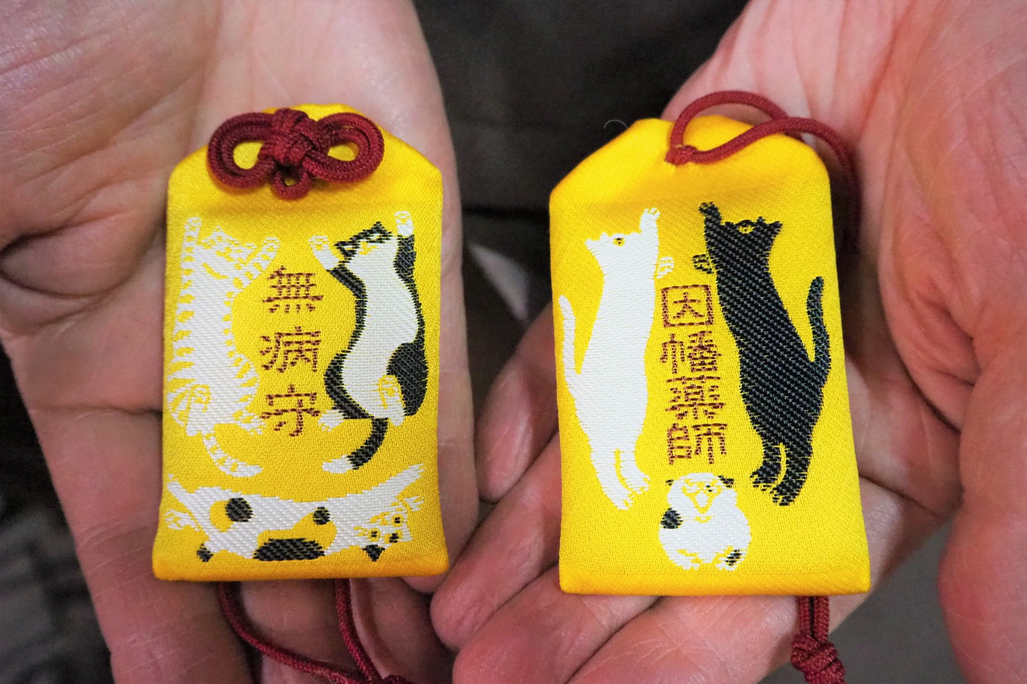 野良猫がご縁に 猫の日から 六猫 無病 お守りを授与するお寺 考案したのは動物好きな住職 まいどなニュース 野良猫がご縁に 猫の日から 六猫 無病 お守りを授与するお寺 考案したのは動物好きな住職 まいどなニュース