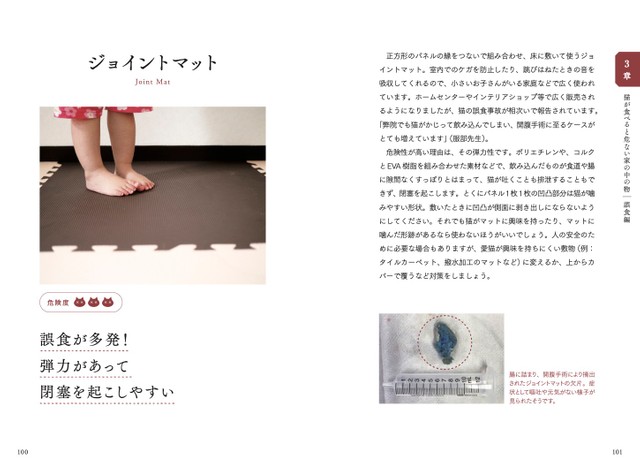 コロナ禍で猫のマスク誤食事故も多発 猫が食べると危ない食品 植物 家の中の物図鑑 が好評 まいどなニュース