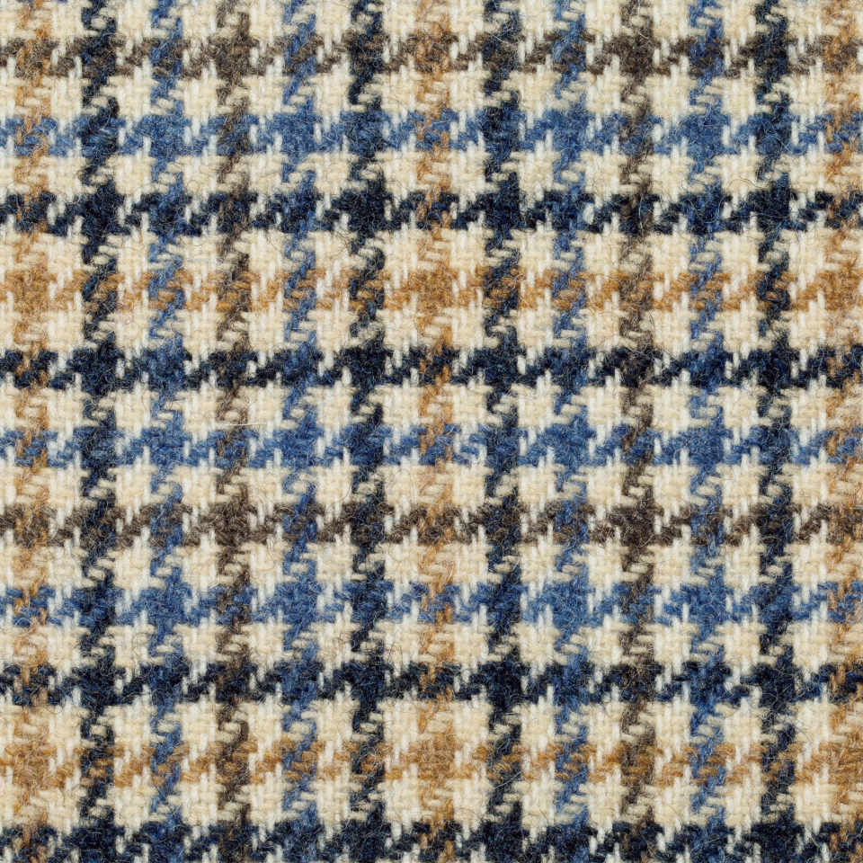 写真・図版