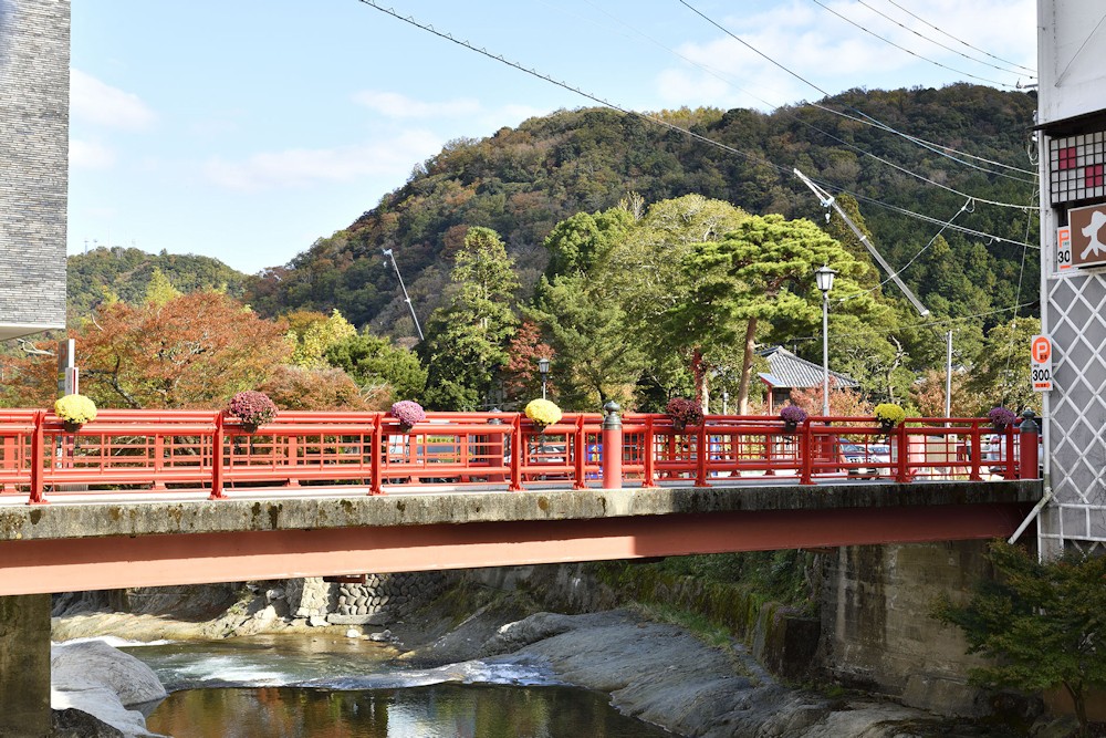 嵐山は埼玉にもあった 東日本に渡月橋 鴨川 祇園 そして幻の 京都タワー も発見 まいどなニュース