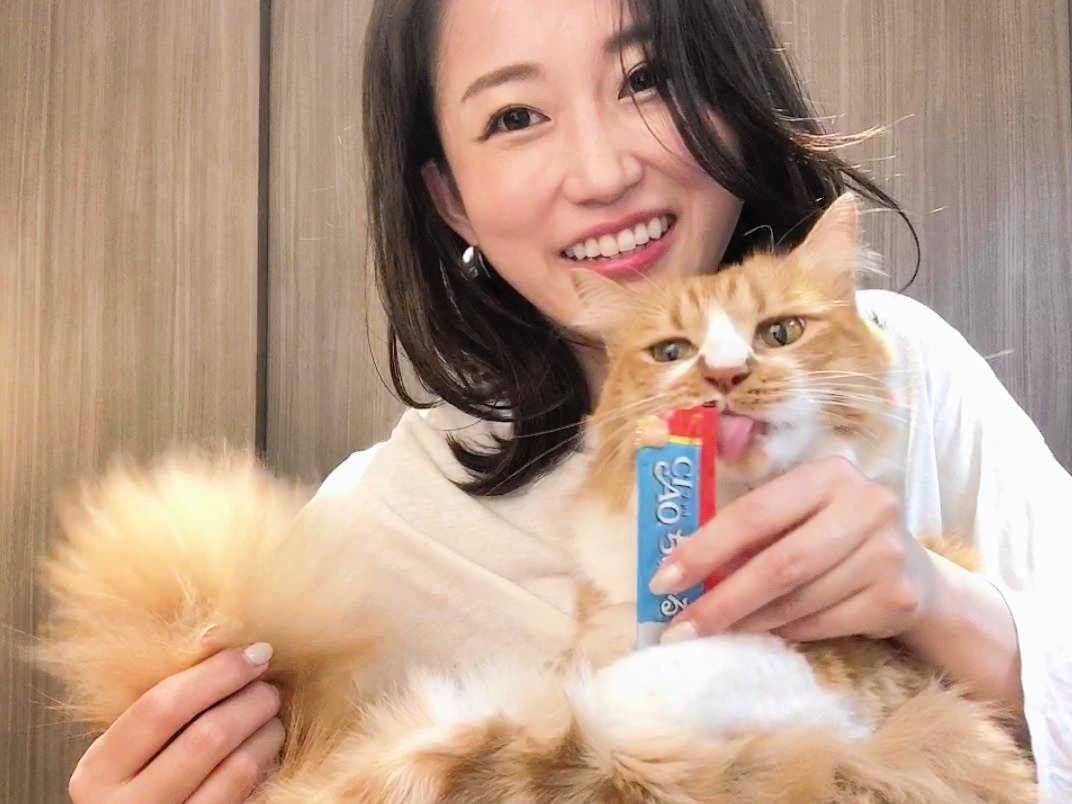 鼻チューに恋焦がれる元sdn津田麻莉奈 愛猫 虎太郎との幸せな日々 まいどなニュース