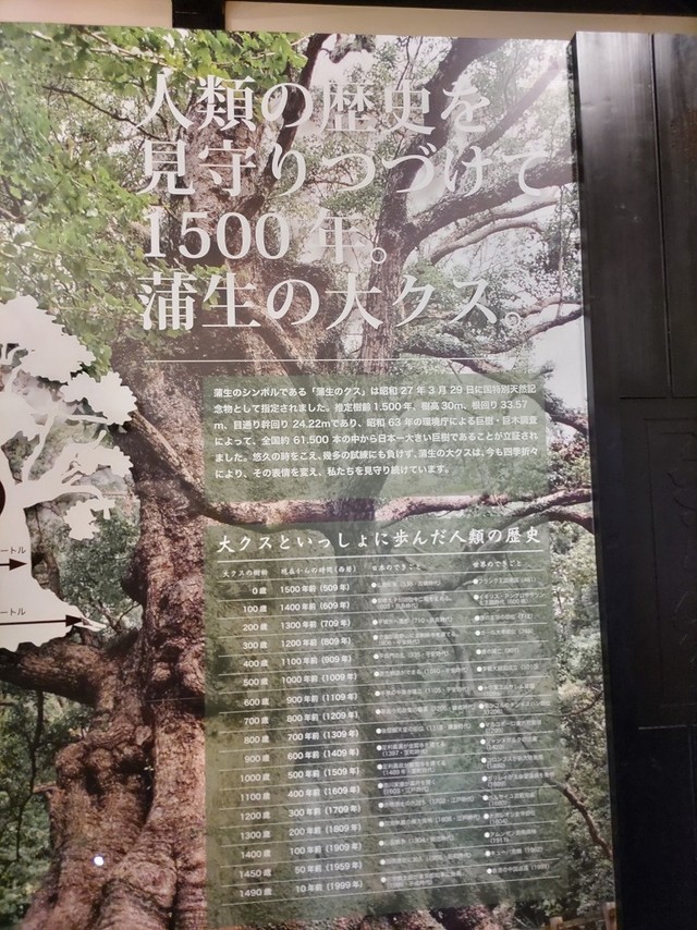 同級生はフランク王国！？