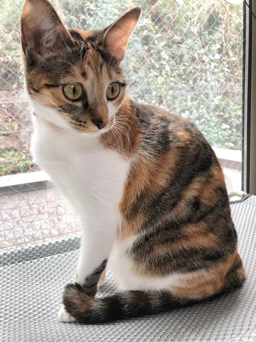 D1f Kgtocesewm D1f Kgtocesewm