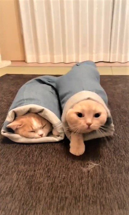 ①いざ出陣！