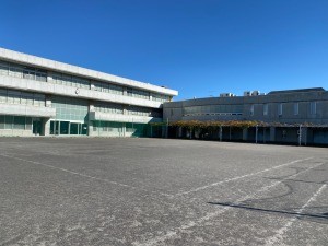 写真・図版