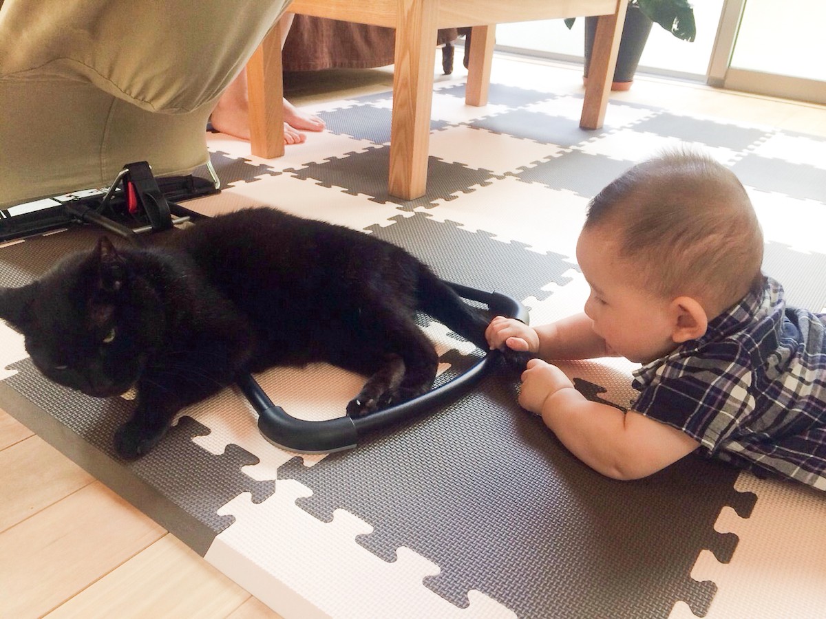 燃える民家 ちゃぶ台の下で震えていた小さな黒猫 飼い主現れず救出した消防士が引き取り 火災をきっかけに 僕との新しい縁が生まれた まいどなニュース