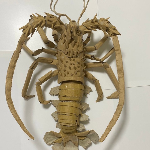 段ボールの廃材で作った伊勢海老ちゃん見て 152箇所が動くリアルな姿に 間違えて茹でそうやｗ まいどなニュース