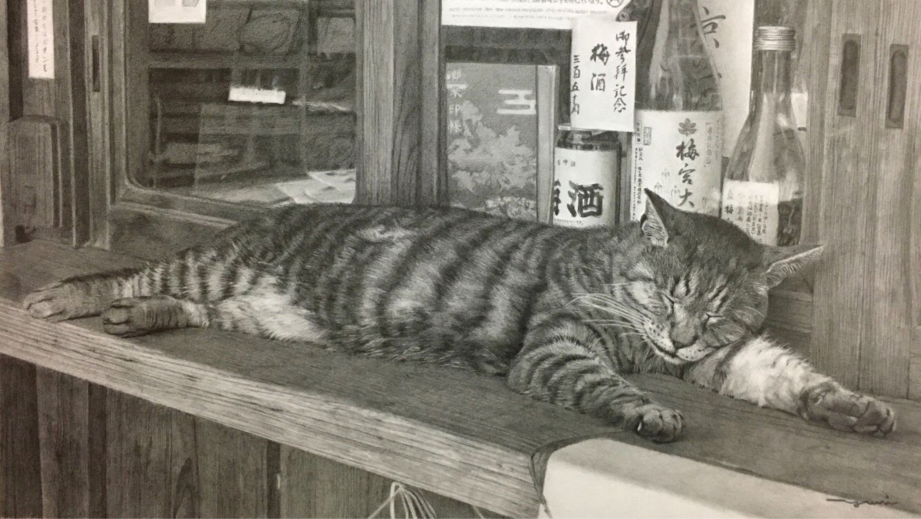 これが鉛筆で描かれた猫だなんて 衝撃の作品に モノクロ写真みたい ため息がでた まいどなニュース