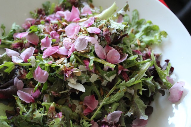 どんな味なの 桃の花びら 野菜ソムリエがカナダで出会い話題に サラダに使うといいよ まいどなニュース