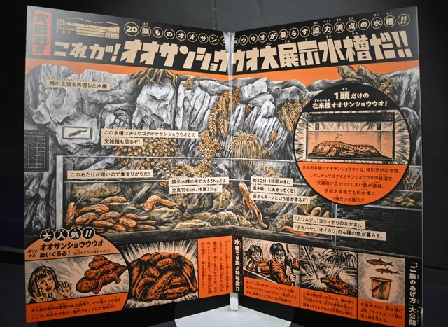 まるで特撮の怪獣図鑑 京都水族館のオオサンショウウオ紹介パネルが デンジャラス すぎる まいどなニュース