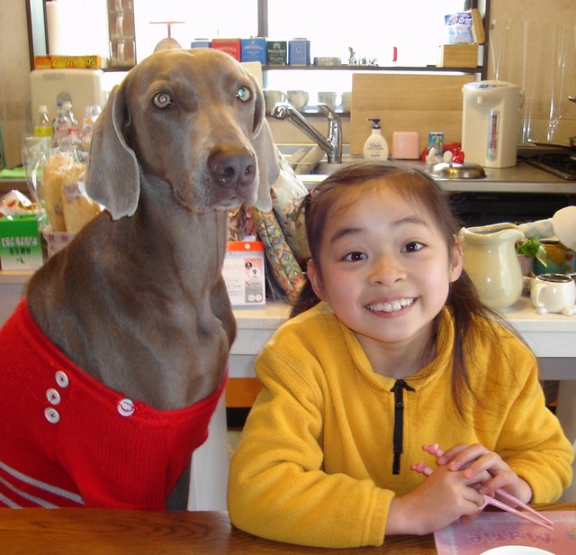 死ぬまで見捨てない 新しい飼い主の愛情を受け 保護した大型犬 今では女王様気取りに まいどなニュース