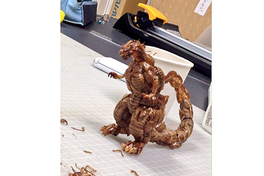 もはや神の領域 セミの抜け殻で作るゴジラが話題 バルタン星人やエヴァ初号機も まいどなニュース