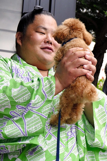 SUMO/ Daieisho's first championship 'best gift' for his proud mom : The Asahi Shimbun - Vimarsana News