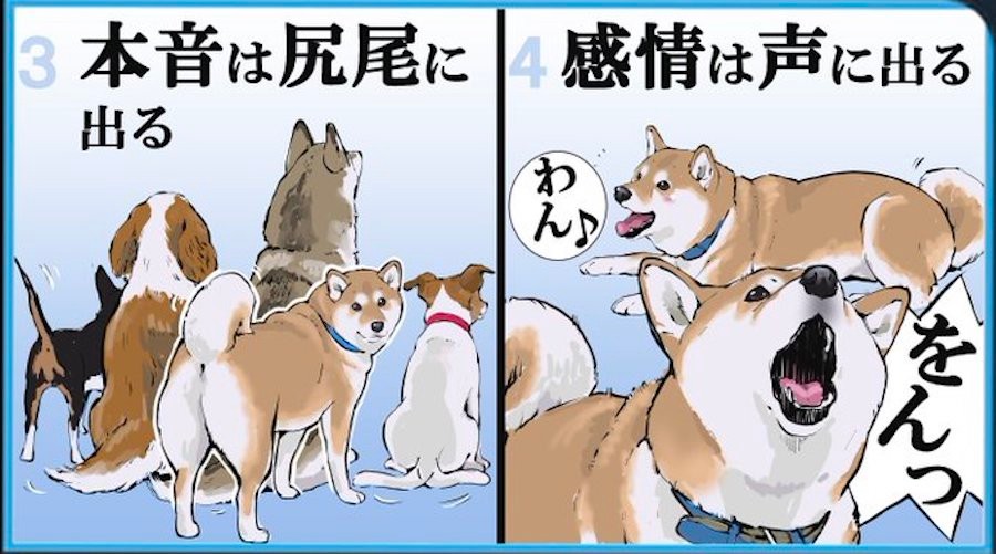 漫画 犬版 自分を表す八か条 に共感殺到 センスは飼い主に出る センスなくてマジごめんやで まいどなニュース