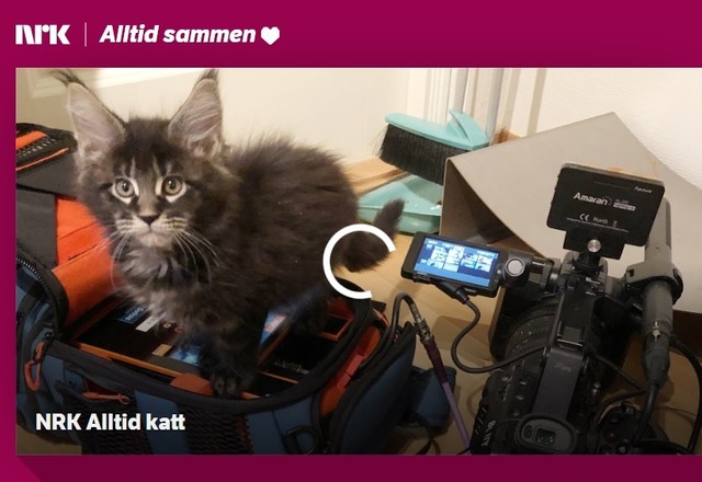 NRK Alltid sammenのHPより
