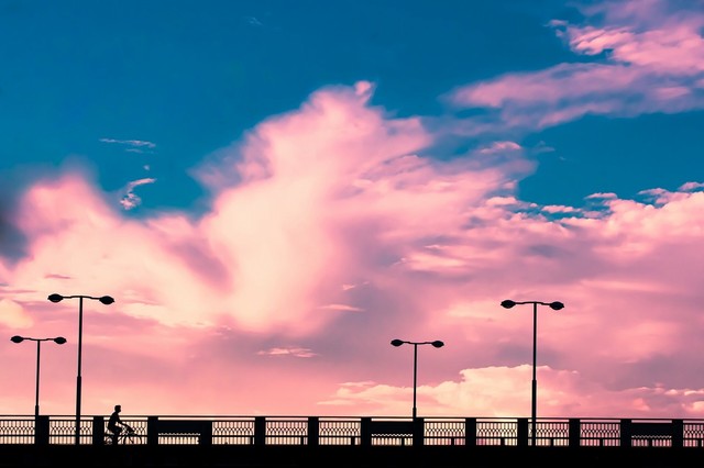 何気ない日常風景 しかし物語が始まる予感 夏の写真が ほんとアニメにしか見えない と話題 まいどなニュース