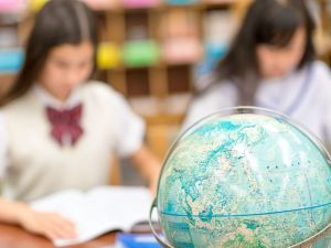 図版・写真
